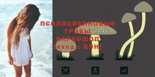 ALPHA PVP Каменногорск