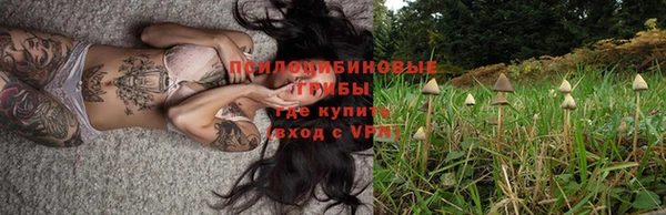 не бодяженный Каменка
