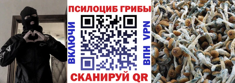Галлюциногенные грибы GOLDEN TEACHER  Купить  Котельнич 