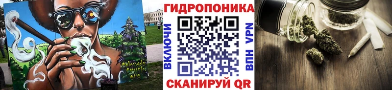 Марихуана сатива Котельнич